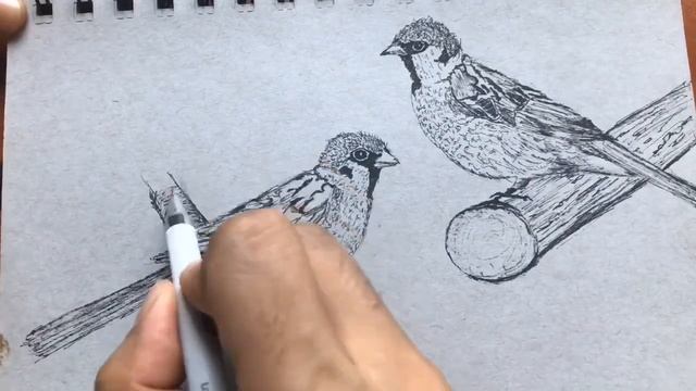 Draw your imagination | Ballpoint pen drawing | sketch смотреть онлайн