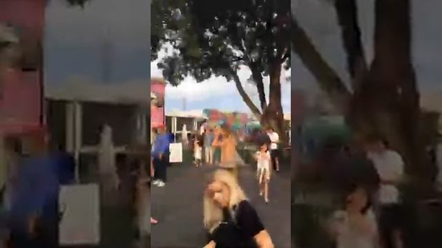 Нелли Ермолаева Periscope 10.01.2016 "Whynwood walls #miami" смотреть онлайн