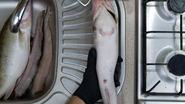 Разделка Судака для вяления или копчения[4K] смотреть онлайн