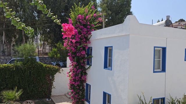 ?? Гадание на ваш вопрос, Таро да или нет на заветный вопрос. ? смотреть онлайн