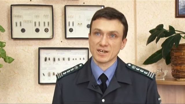 170 голландских цветов, зараженных опасными насекомыми, сожгли в печи в Барнауле смотреть онлайн