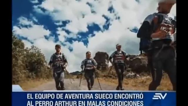La historia de Arthur, el can ecuatoriano que vive en Suecia смотреть онлайн