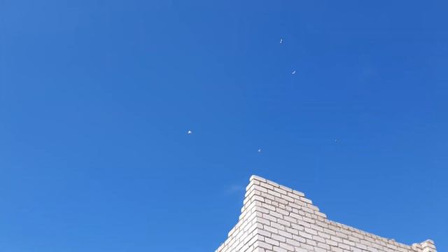 Выпускаем голубей! 1.07.20г смотреть онлайн