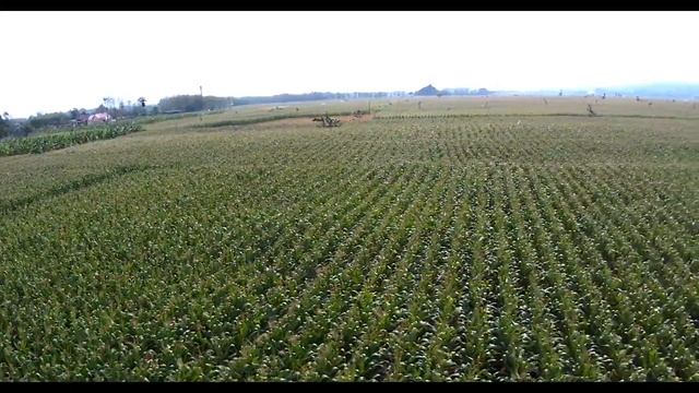 JJRC X19 ? Tutorial Full Video смотреть онлайн