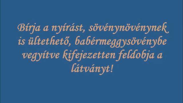 Kerti korallberkenye (Photinia x fraseri 'Red Robin') смотреть онлайн