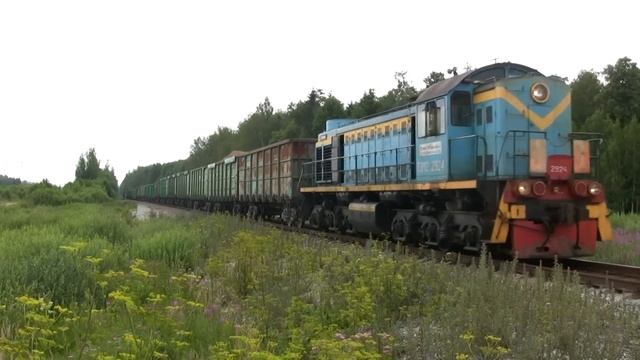Тепловоз ТЭМ2-2924 на перегоне Карьерная-Нарвская / TEM2-2924 between Karjernaja and Narvskaja смотреть онлайн