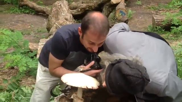 Бомж напал на фотографа! Прикольное ржачное смешное видео! смотреть онлайн