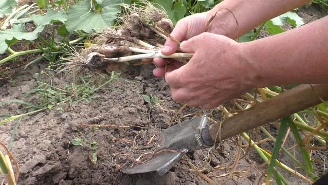 Строительные Мнения