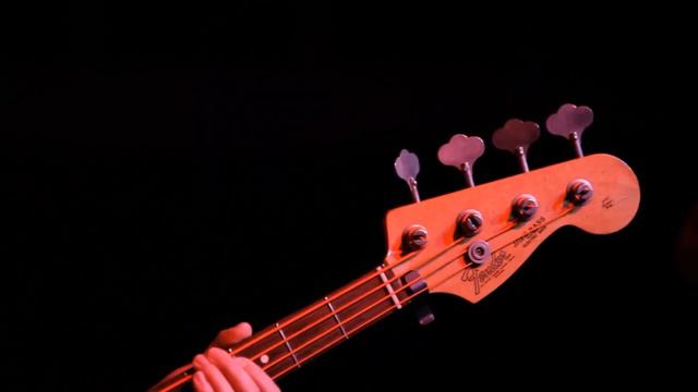 Duck Fight Goose Perform "Glass Walls" | Fender смотреть онлайн