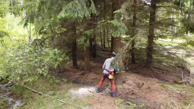 Расчистка участка от деревьев смотреть онлайн