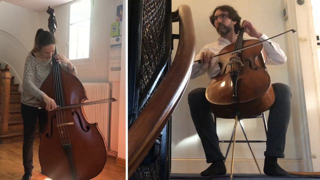 Violoncelliste sur paillasson... Duo Contrebasse Violoncelle - Rossini | H.Dély et G.Martigné смотреть онлайн