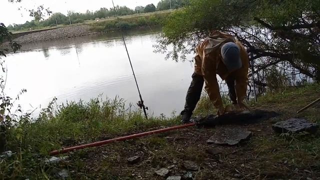 Сазан на бойлы. Рыбалка На карпа Летом 2021 смотреть онлайн