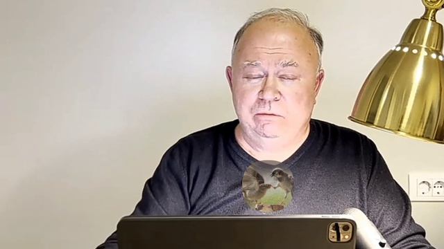 Караулов - "электронное голосование" смотреть онлайн