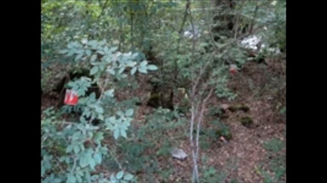 Ты рассветы и закаты смотреть онлайн