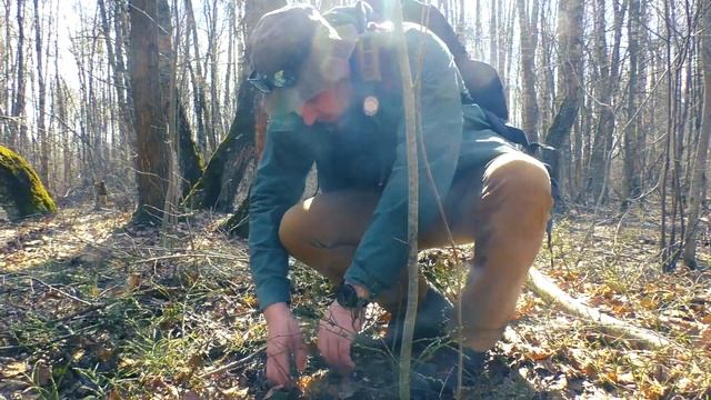 ЗА ПЕРВЫМИ ГРИБАМИ. Открытие грибного сезона 2022. Строчки, саркосцифа в Московской области. смотреть онлайн