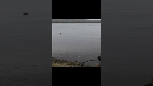 мячик упал в воду и уплыл смотреть онлайн