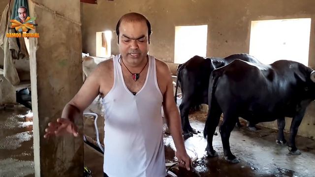 Gamoo Menhin Jo Waarro Kholay Chadyo | Asif Pahore (Gamoo) смотреть онлайн