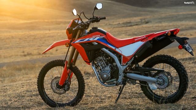 2021 Honda CRF300L / CRF300L Rally
