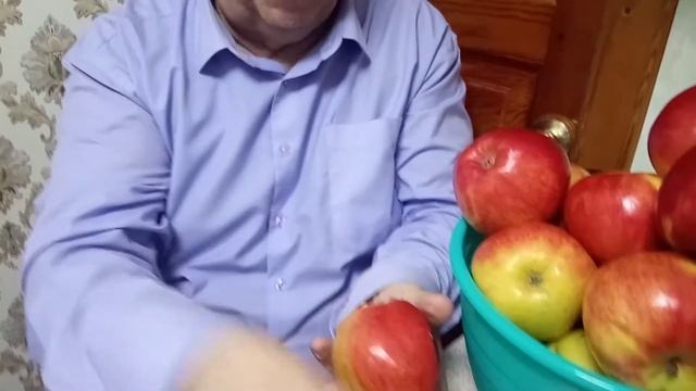 ЗИМОСТОЙКАЯ ЯБЛОНЯ ПЕРВОУРАЛЬСКАЯ. видео Нусратуллина Ф.Г. смотреть онлайн