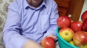 ЗИМОСТОЙКАЯ ЯБЛОНЯ ПЕРВОУРАЛЬСКАЯ. видео Нусратуллина  Ф.Г.
