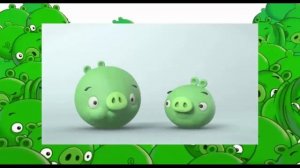 Истории свинок. Смешные свинки. ВСЕ СЕРИИ ПОДРЯД!