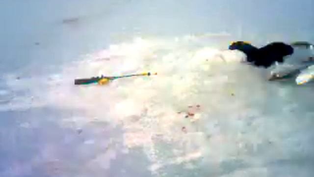 Рыбалка в Алаколе. Зимние рыбалка смотреть онлайн