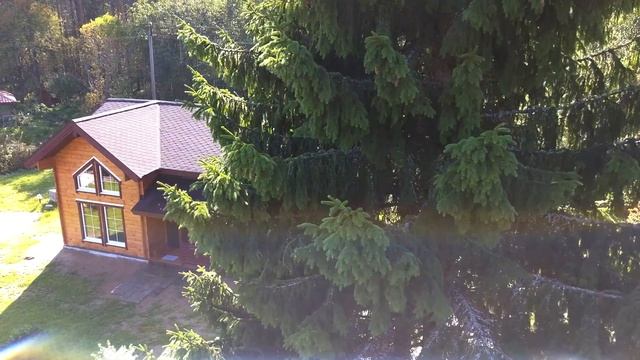 Дом из двойного бруса проект Карелия-55 смотреть онлайн