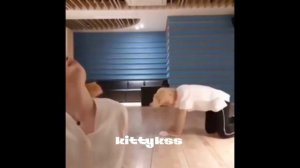 хенликсы хенликсятся на протяжении 2 минут и 32 секунд