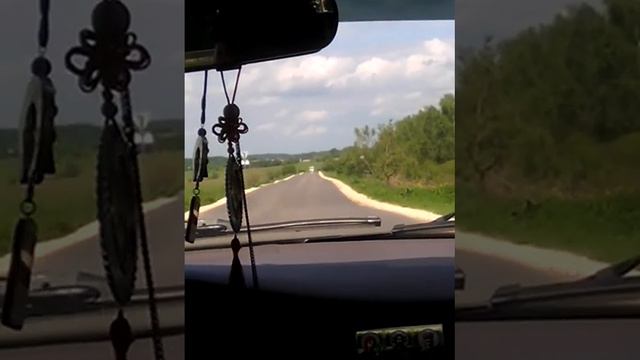 Я еду к другу на дачу смотреть онлайн