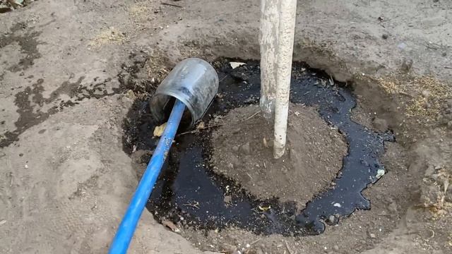 Пять моих секретов выращивания богатого урожая косточковых - абрикоса и вишни в 2020 году смотреть онлайн