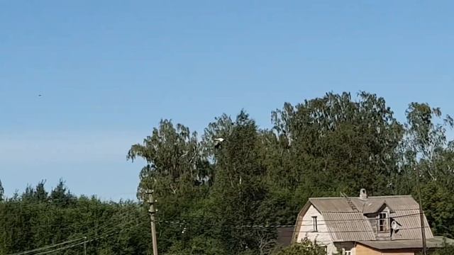 Аист летит. Горчаковщина ~ Stork смотреть онлайн