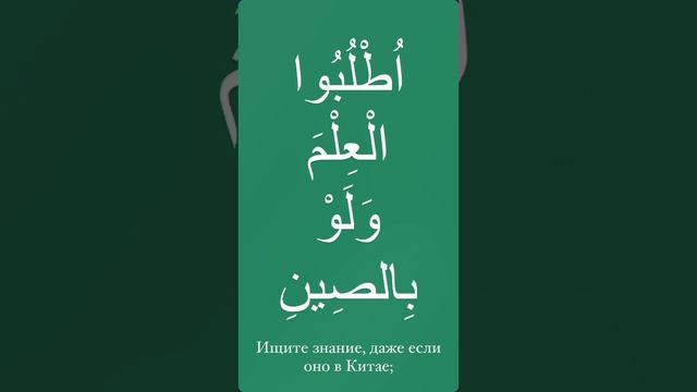 Ищите знание, даже если оно в Китае; اطْلُبُوا العِلْمَ وَلَو بِالصِينِ Мохьмад Хьаьж 100Е смотреть онлайн
