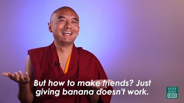 How to train your monkey mind. смотреть онлайн
