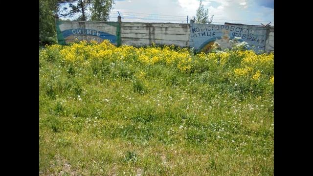 Заброшенные птицефабрики в селе Колмогорово, Яшкинский р-он смотреть онлайн