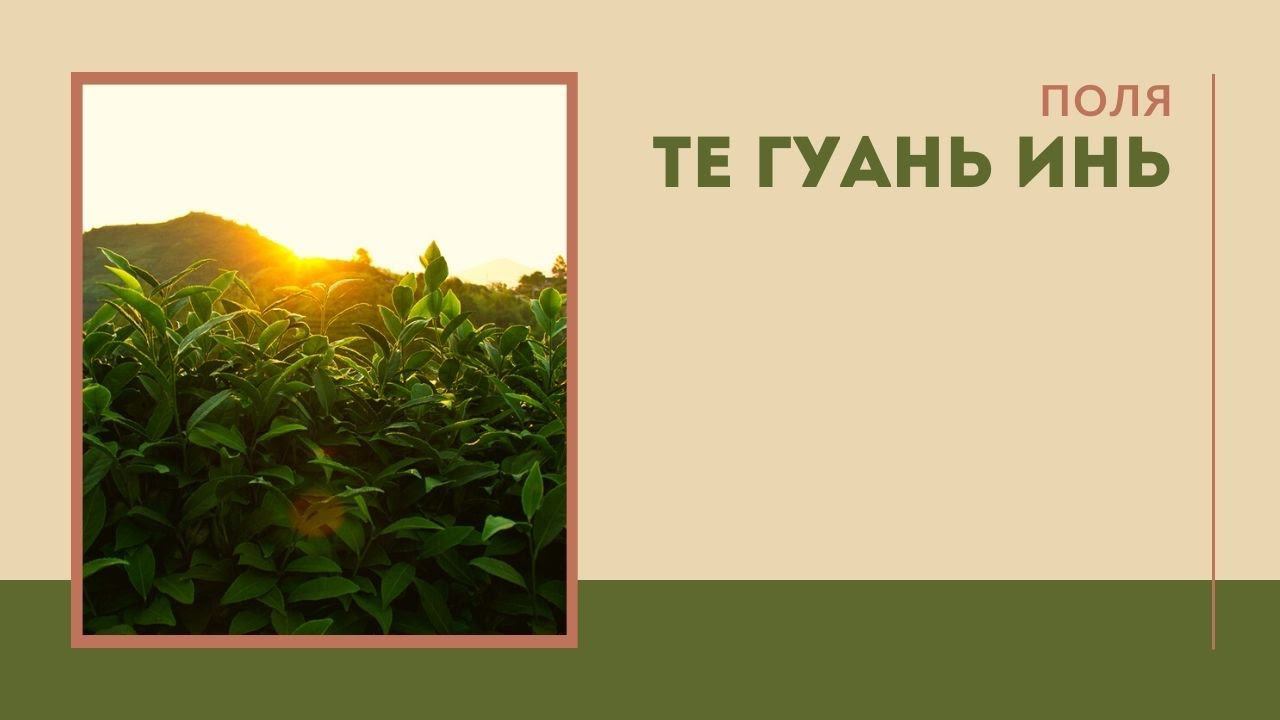 Поля ТегуаньИнь смотреть онлайн