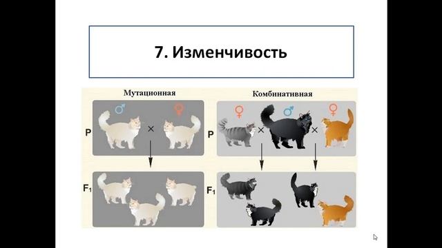 Живое и неживое. Общие признаки биологических систем смотреть онлайн