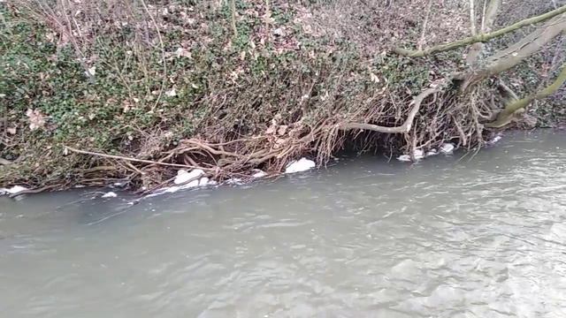 Пенник в природе как всё очень просто работает.. смотреть онлайн