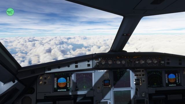 Microsoft Flight Simulator