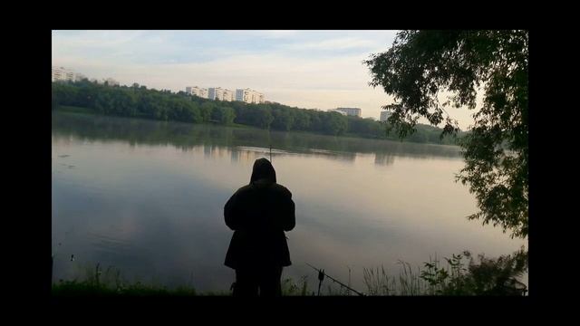 Отличный клев на донки и флэт фидер. Ловля - леща ,подлещика, карася. #рыбалка #фидер #ловлялеща