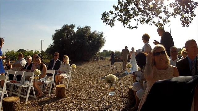 Allie Hayward and Travis Peterson Wedding Video смотреть онлайн