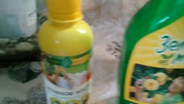 как я обрабатываю орхидеи после покупки . смотреть онлайн
