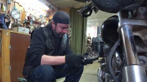 Мясные пчелы из Казахстана  генно инженерия во!!)