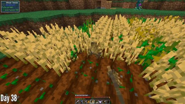 100 Days in Minecraft but there's TONS OF MODS IN 1.16.4 смотреть онлайн