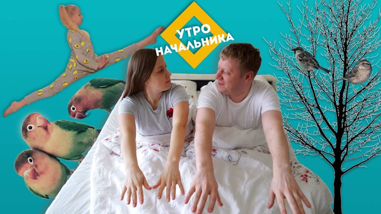 Утро начальника. Семья Юмшановых. Весенние трели «птичек-неразлучников»