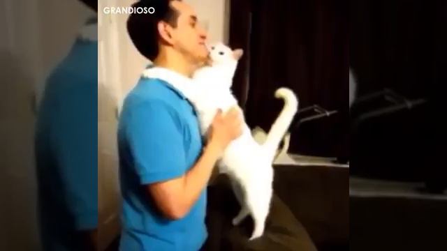 Любите животных! Ведь они вас тоже любят! смотреть онлайн