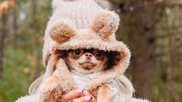 С Днём Рождения Подруге ❤️Поздравляю Подругу С Днём Рождения ? смотреть онлайн