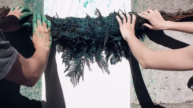 fern experiment смотреть онлайн