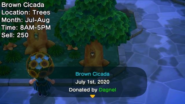 Animal Crossing New Horizons Guide to JULY! Bugs, Fish, Events and More! (Northern Hemisphere) смотреть онлайн