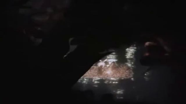 Пускай река сама несёт меня смотреть онлайн
