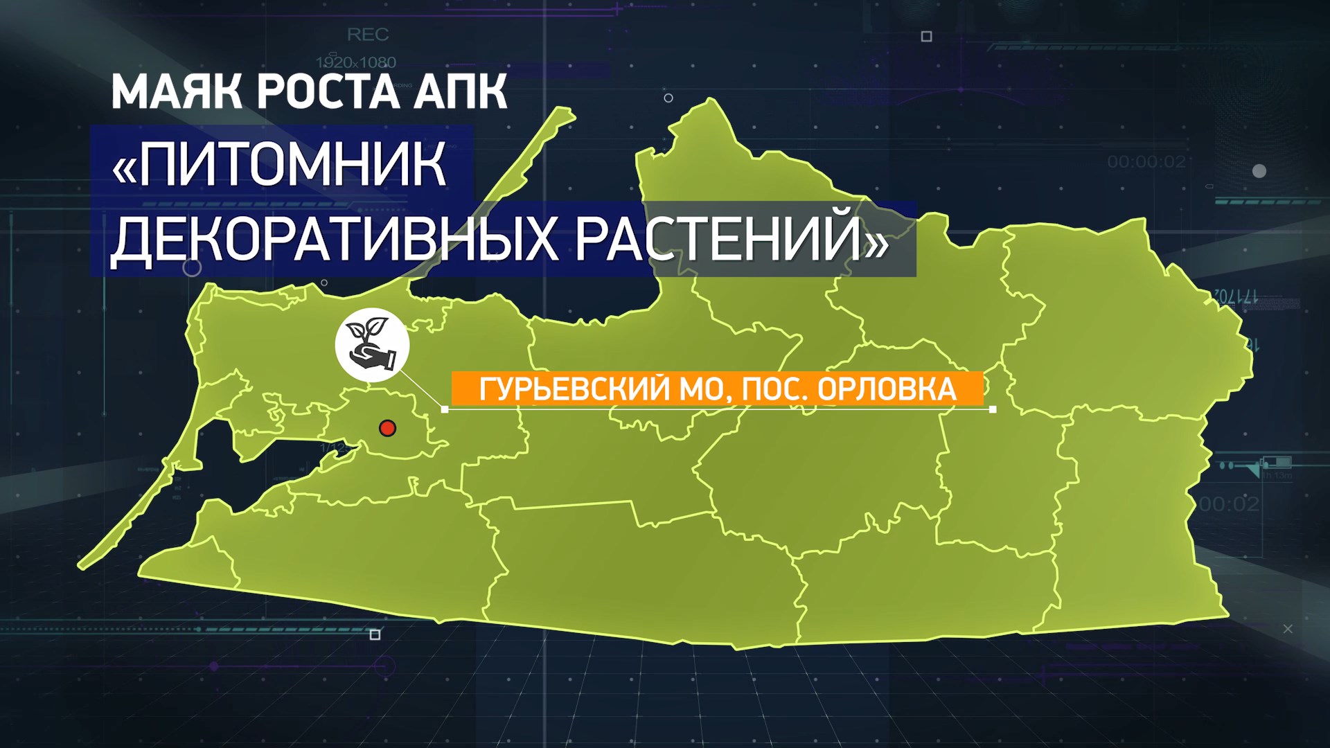 Маяки роста - Питомник декоративных растений смотреть онлайн